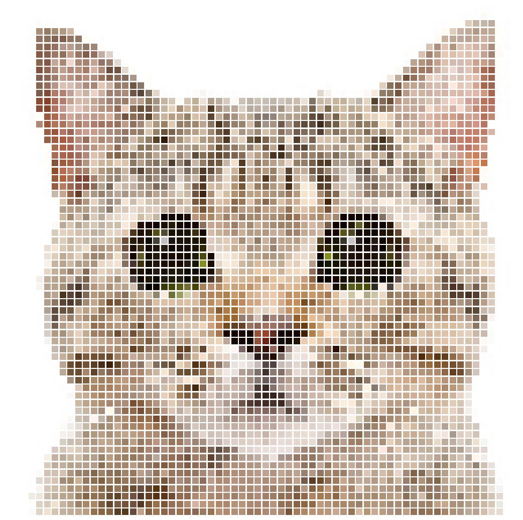 pixelated cat without clustering